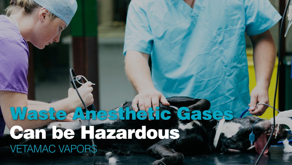 Waste Anesthetic Gases Can Not Only be Hazardous to us but the Environment as Well - VETAMAC VAPOURS
